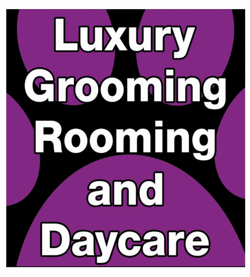 Several dogs of different breeds playing together in a secure, grassy outdoor area at a boarding training for dogs facility.