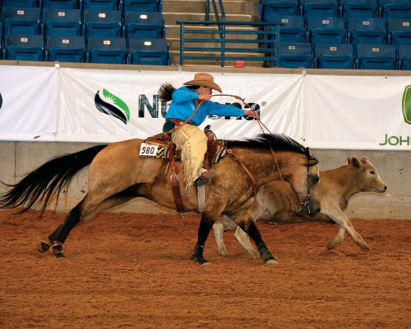 Don Murphy demonstrating groundwork techniques with a horse in a training field
