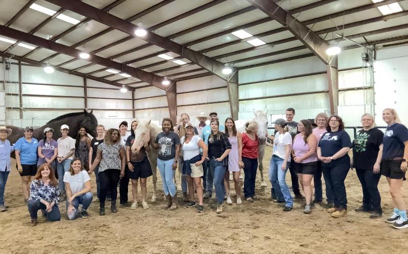 A corporate team participating in an Eagala horse training exercise, working together to guide a horse through an obstacle. 