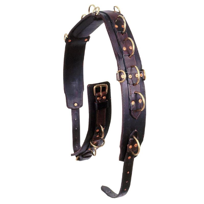 A collection of essential horse lunge lines and training supplies laid out neatly on a wooden tack trunk, including a cotton lunge line, a whip, and gloves.