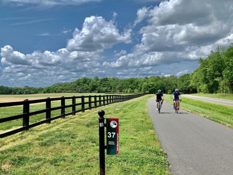 An organized flat lay of essential race horse training equipment including a lightweight saddle, a bridle, and various bits on a clean, rustic wooden background