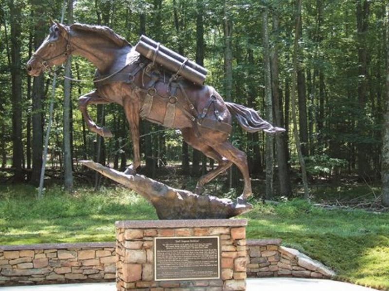 The war story horse pedigree of Sergeant Reckless, a decorated mare from the Korean War, is a tale of bravery.