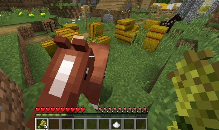 Feeding a Horse in Minecraft