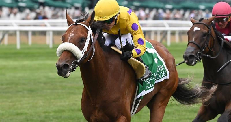 Thoroughbred racehorse trainer Fernando Abreu observing a horse during early morning track work at Gulfstream Park.