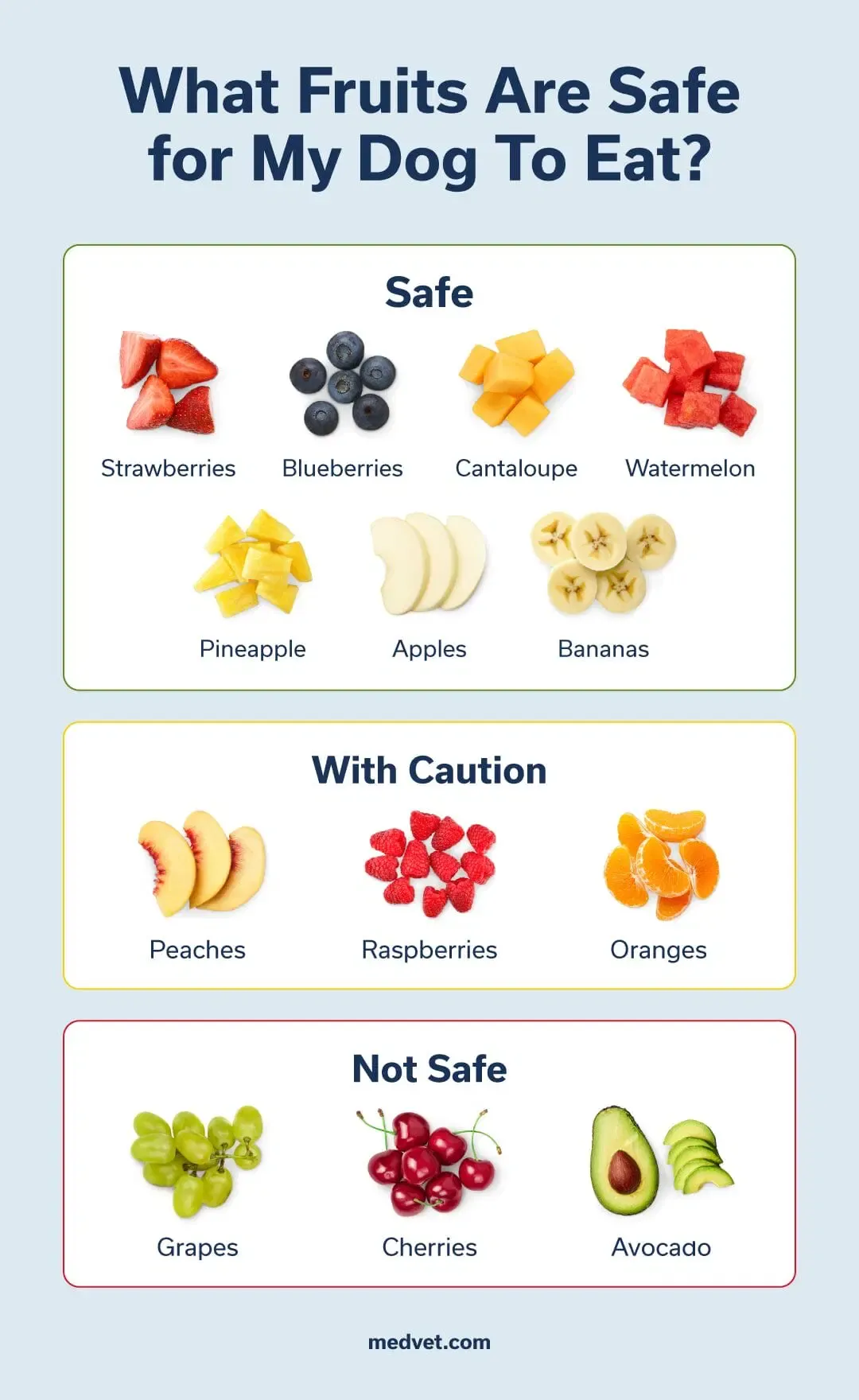 Fruits safe for dogs to eat