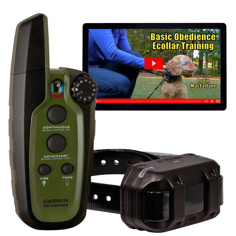 A person using a Garmin PRO series remote to train a golden retriever in an open field, showcasing the intuitive one-hand operation of Tri-Tronics training collars for dogs.