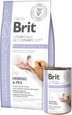Gastrointestinal Dog Food
