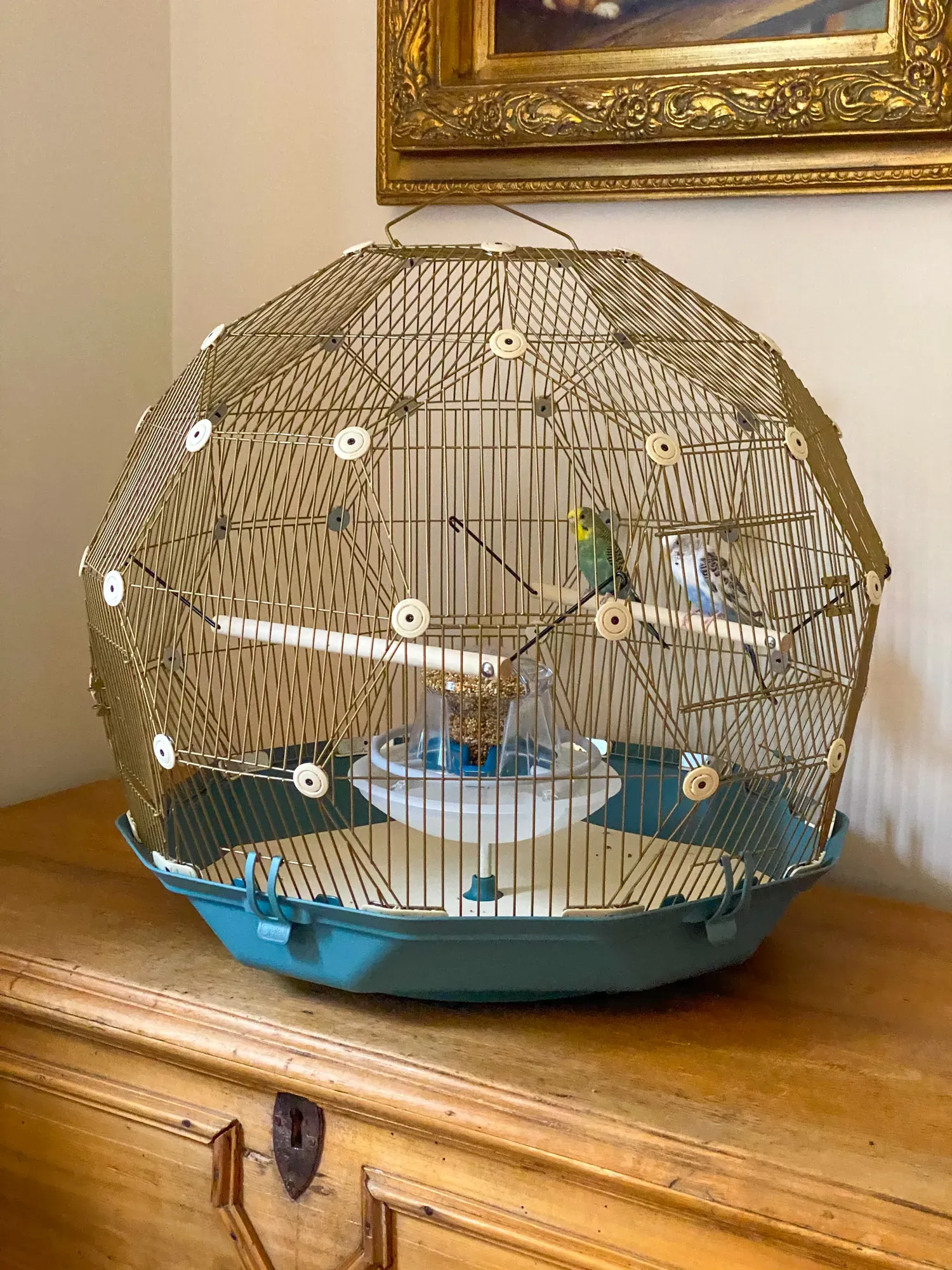 Geo Bird Cage