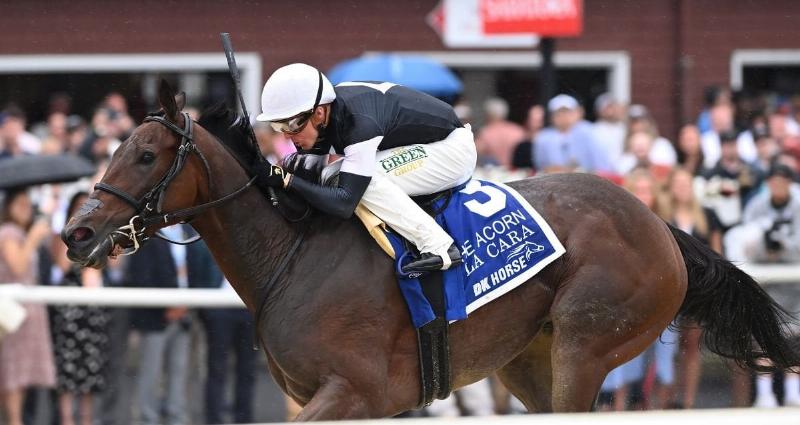 Horse trainer George Weaver observing a thoroughbred during morning training at Saratoga Race Course.