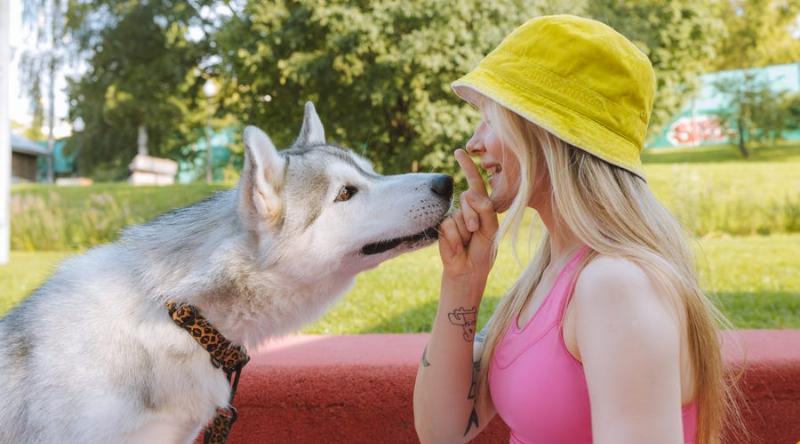 Essential German commands for dog training