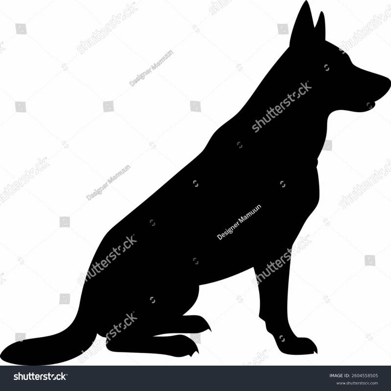 An adult German Shepherd dog sitting attentively in a green field, looking directly at the camera with a sharp, intelligent expression, showcasing the breed's noble and alert nature.