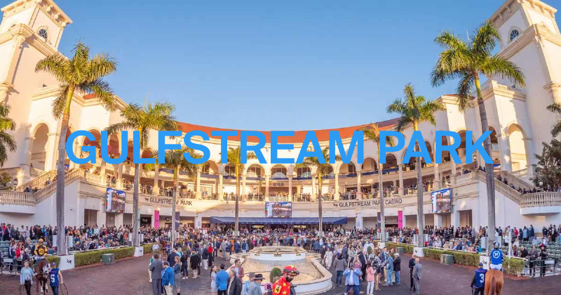 A wide-angle shot of thoroughbred horses racing towards the finish line at Gulfstream Park, one of the premier FL horse racing tracks, with the grandstand in the background.