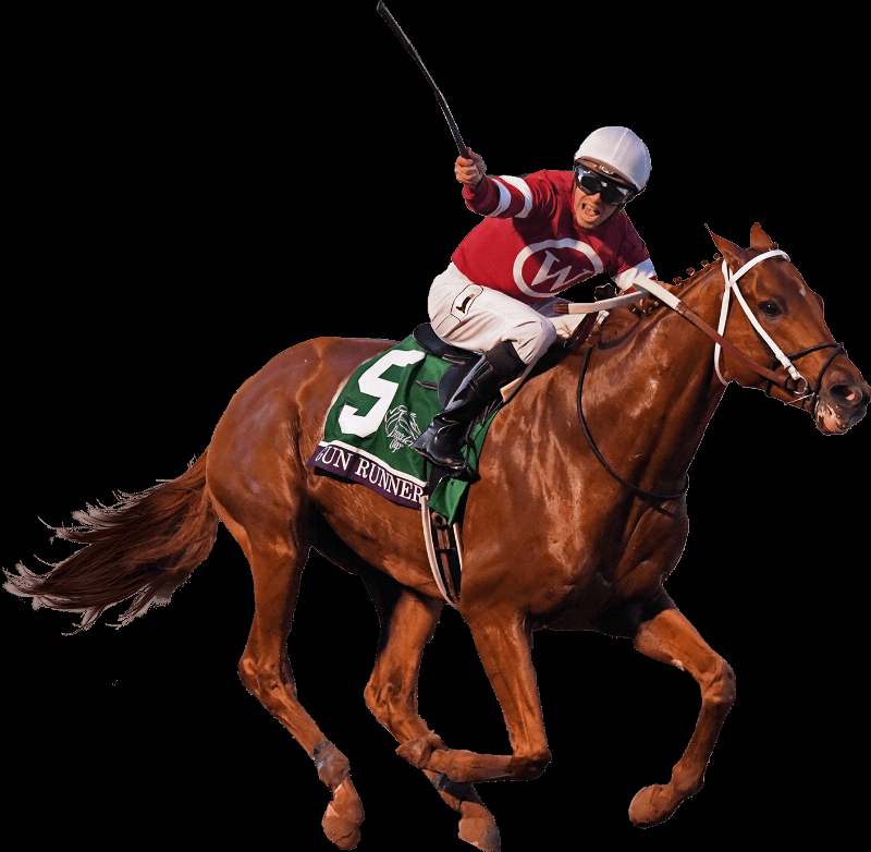 Horse of the Year Gun Runner and jockey Florent Geroux winning the Breeders' Cup Classic for trainer Steve Asmussen.