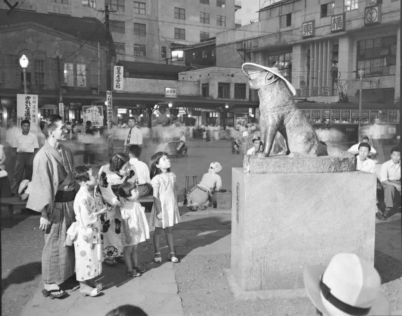 Hachiko statue at Shibuya Station, Tokyo