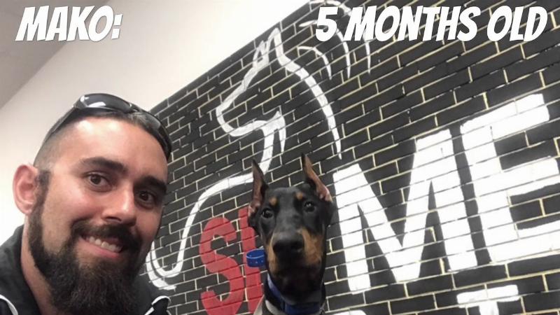 A woman smiling and playing with her well-behaved Golden Retriever off-leash in a sunny Winter Garden, Florida park, showcasing the results of Sit Means Sit dog training.