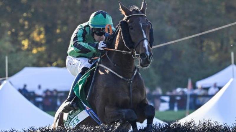 The racehorse Hewick, with jockey, crossing the finish line victorious in a major steeplechase event.