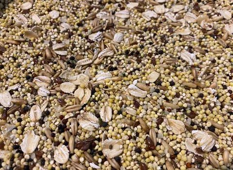Home made seed mix