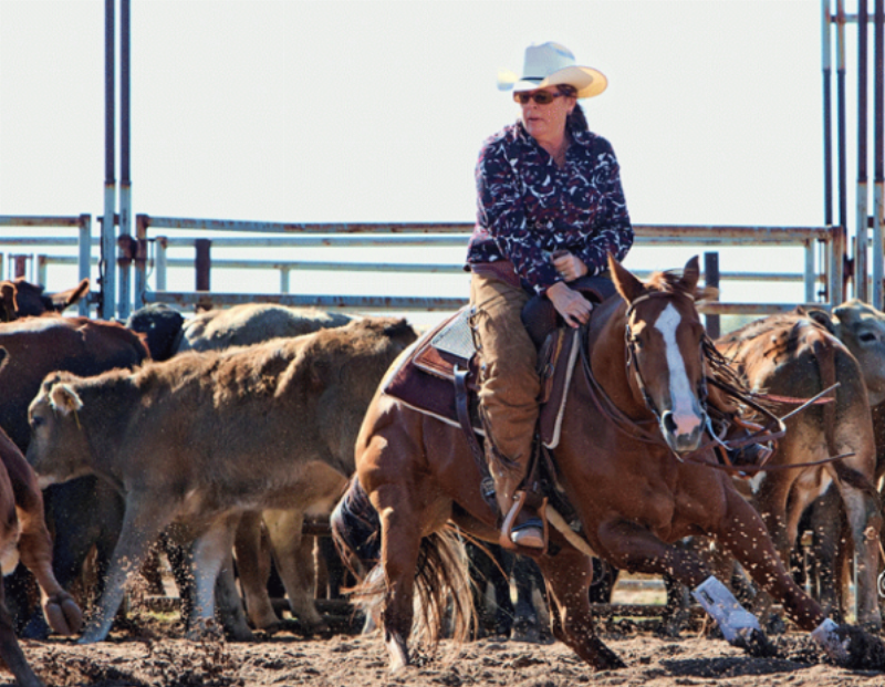 A rider and horse intensely focused on a single cow, demonstrating the core of training a cutting horse.