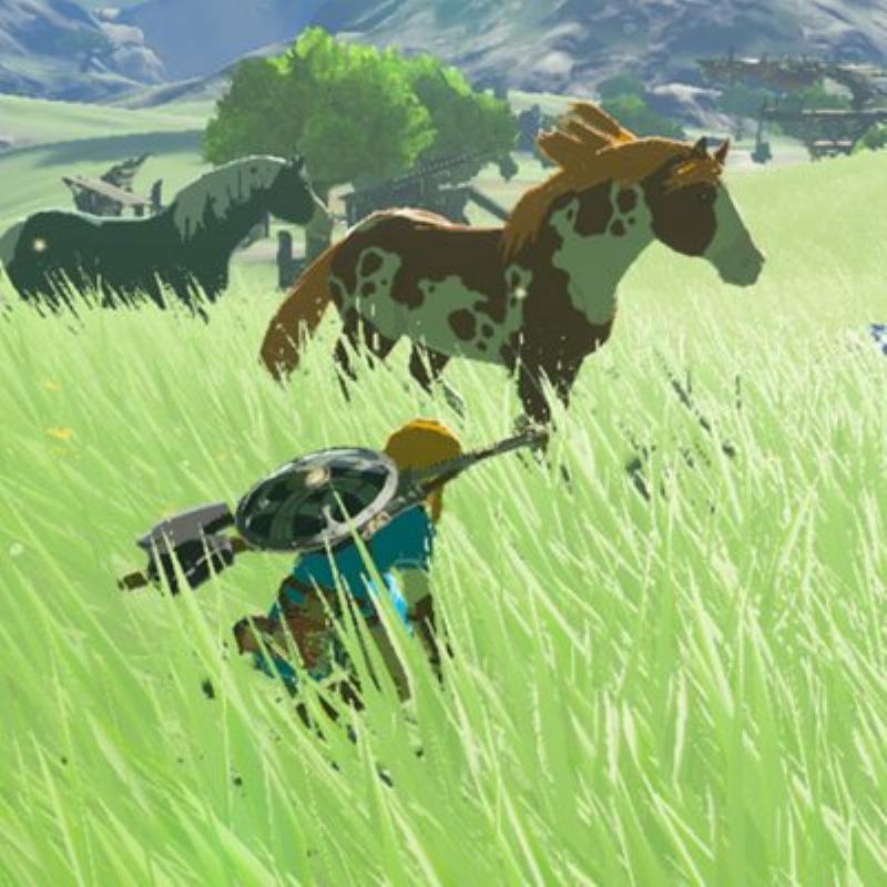 A close-up of a registered horse in a stable being fed an apple, an essential part of Zelda horse training for bonding.