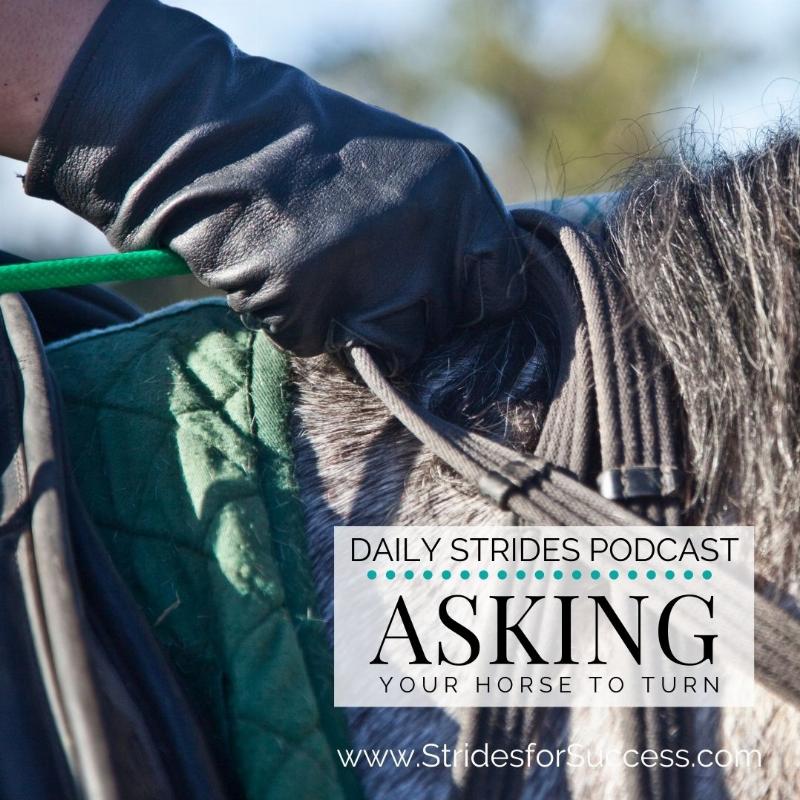 A rider on a confident horse successfully navigating a shallow stream, an important skill for trail riding.