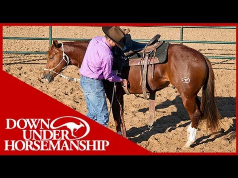 A woman in an arena teaching a calm brown horse to yield to pressure from a lead rope, demonstrating a key step in how to start training a horse.