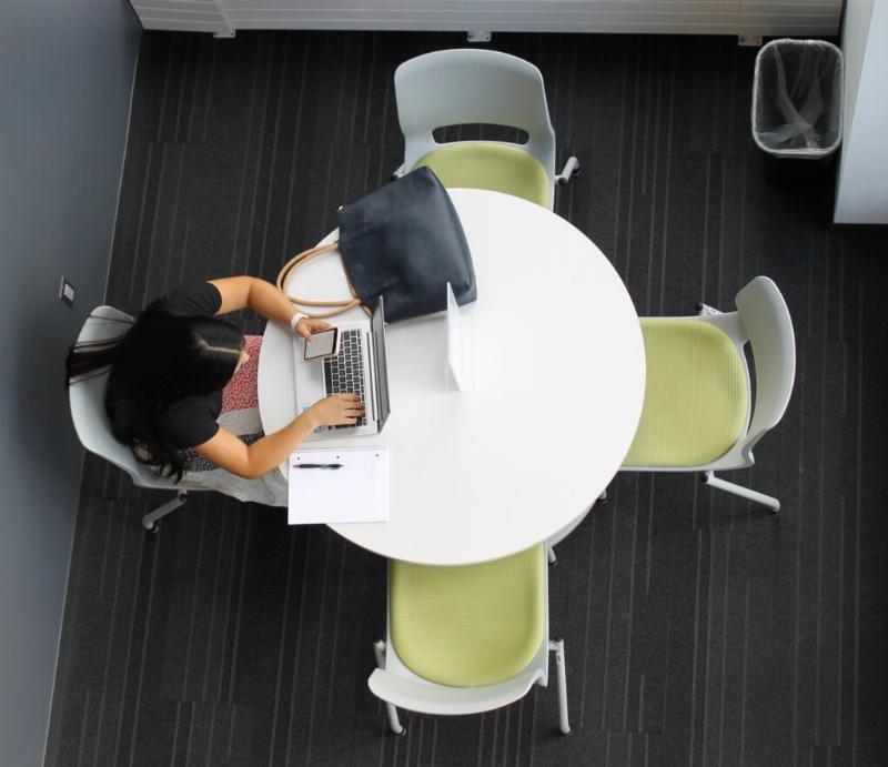 A person sitting at a desk with a laptop and calculator, planning their budget for horse training fees average, with a photo of their horse nearby.