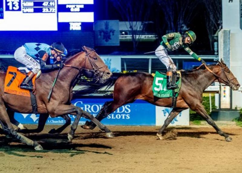 Horse racing pedigree analysis with statistics