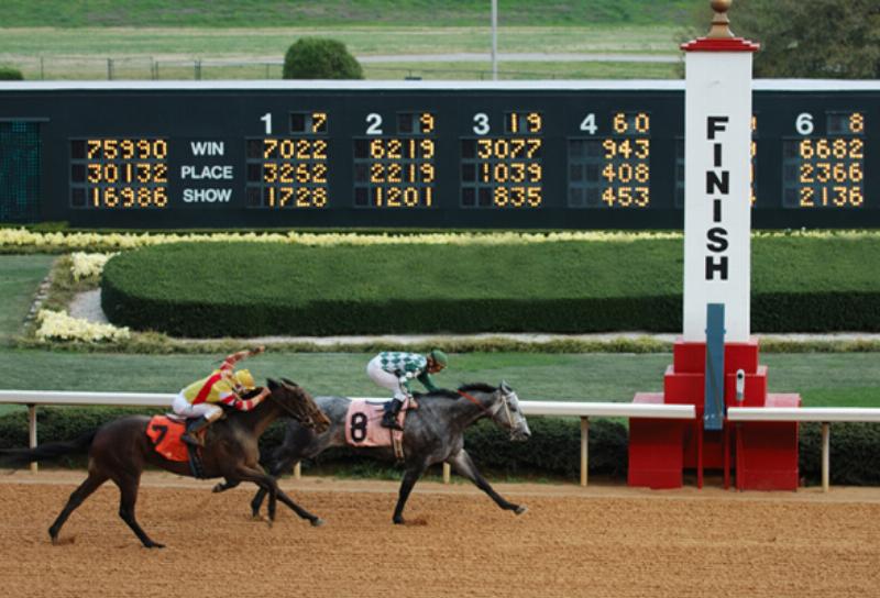 An electronic tote board at a horse racing track showing the odds, pool totals, and probable payouts for an upcoming race