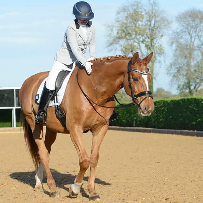 A trainer gently rewarding a calm horse with a pat on the neck, demonstrating positive reinforcement