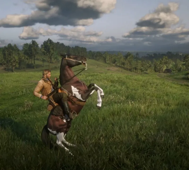 A dressage horse and rider performing an advanced move, symbolizing specialized training that affects average horse training fees.