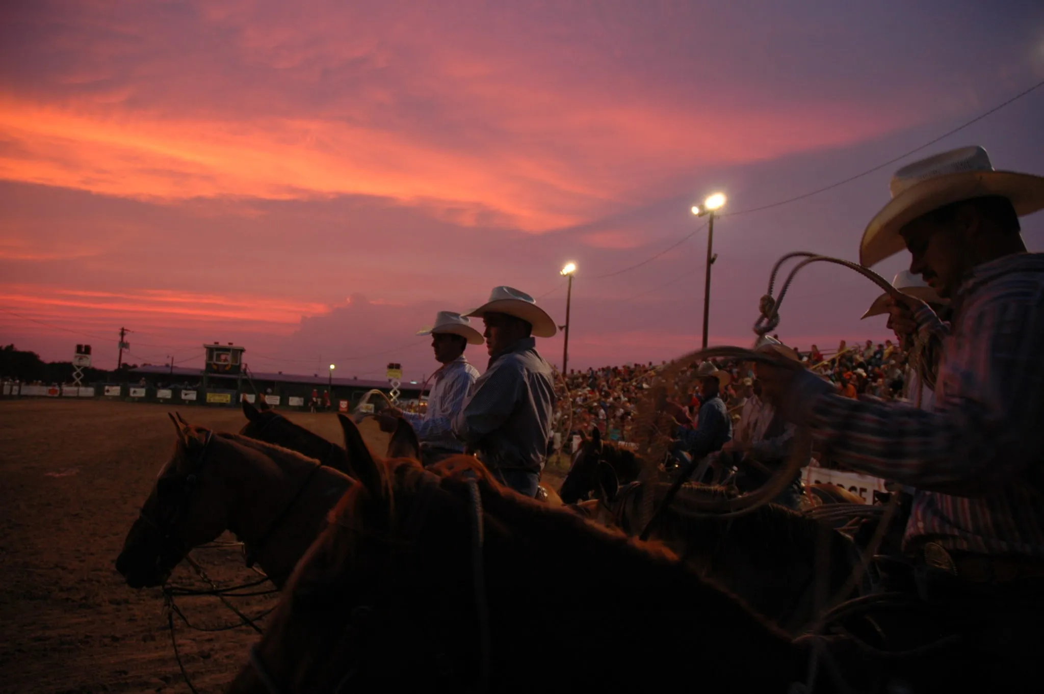 Horses and riders participating in a rodeo at dusk