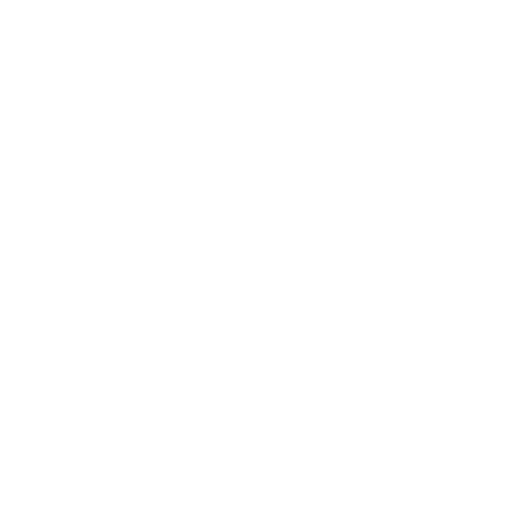 Barred Owl in Flight