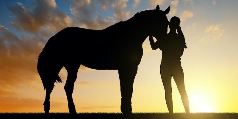 A dramatic silhouette of a person and a horse, representing the emotional bond in a classic horse story movie.