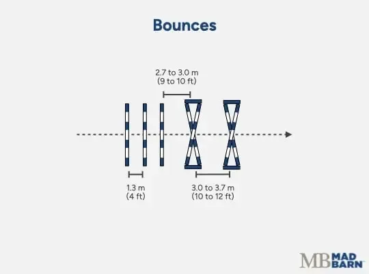 Illustration of a bounce gymnastic exercise for horses