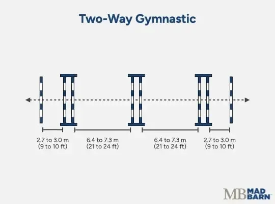 Illustration of a two-way gymnastic exercise for horses