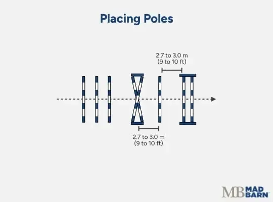 Illustration of placing poles in a gymnastic exercise for horses