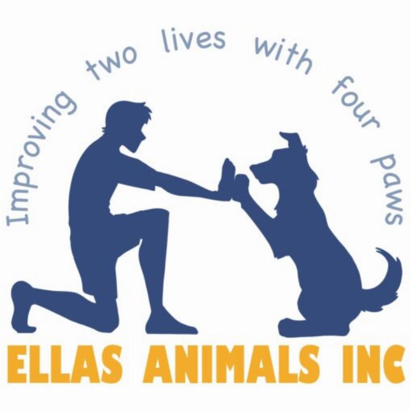 An in home dog trainer demonstrates a command to a golden retriever puppy in a cozy living room, with the family watching attentively. The scene is warm, positive, and educational.