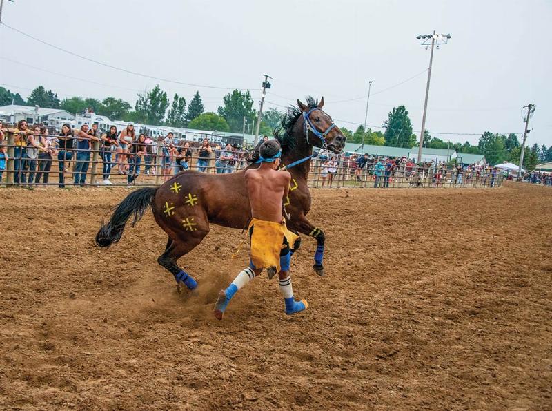 An action shot of a rider leaping from one horse to another during a chaotic Indian relay horse racing exchange, with team members working to control the horses.