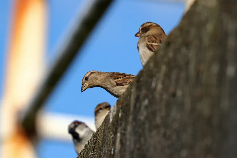 ‘Is that lady with the camera still watching us?…’