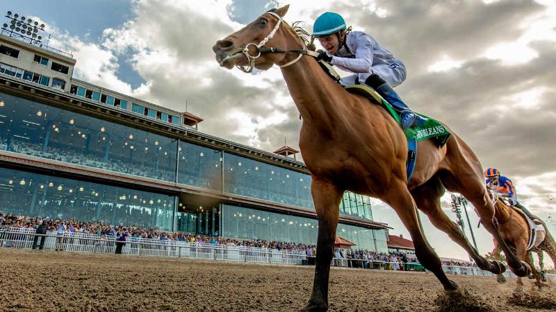 Former NFL quarterback Jake Delhomme watching one of his racehorses, a key figure in the Jake Delhomme horse racing story.