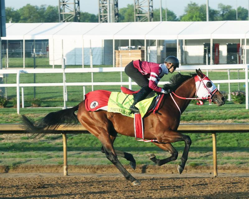 Horse trainer Jena Antonucci calmly working with a thoroughbred on a sunny morning at the training track.