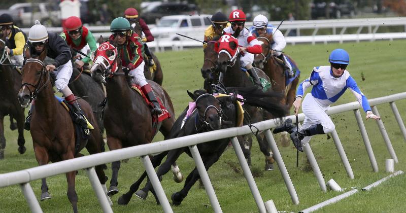Beautiful view of Keeneland race track in Lexington, KY during a sunny day