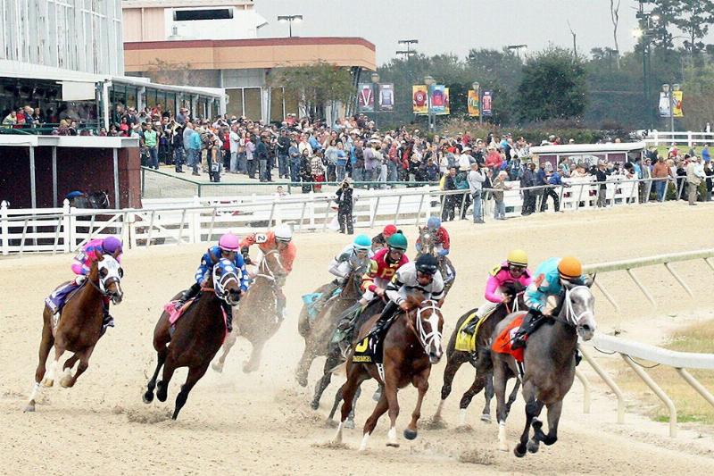 A wide-angle view of the Keeneland racetrack on a sunny day during the Spring Meet, showing horses racing on the track watched by a large, well-dressed crowd.