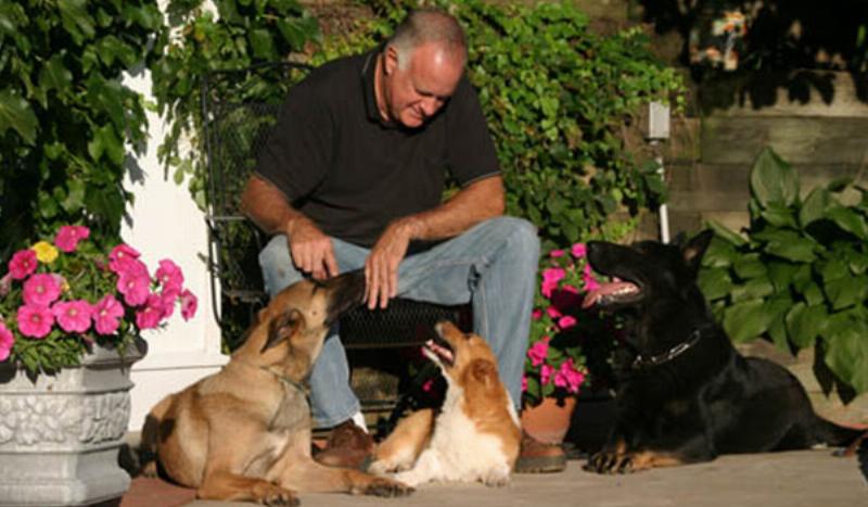 Effective Koehler dog training leash correction demonstration