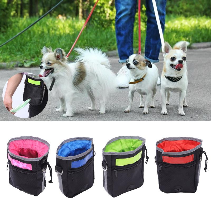 Happy Labrador Retriever with a training pouch