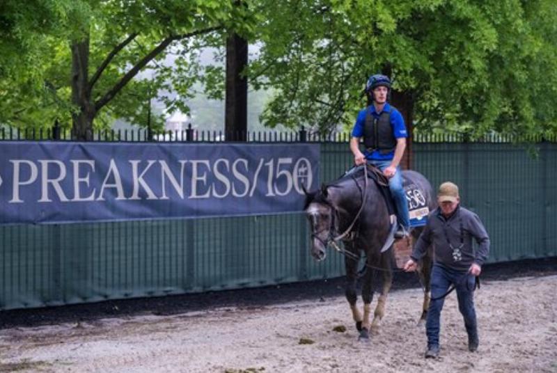 The modern grandstand at Laurel Park, with horses racing down the final stretch, highlighting its role as a premier year-round racing destination.
