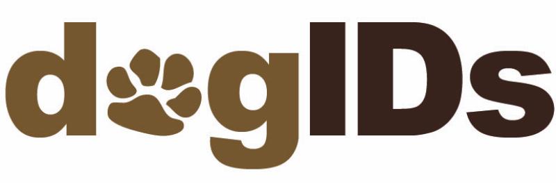 Choosing the right leather dog training lead for your needs