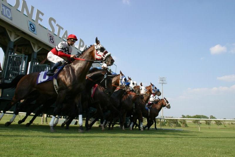 A wide-angle view of the bustling grandstand at Lone Star Park during a live horse racing event in Arlington, Texas