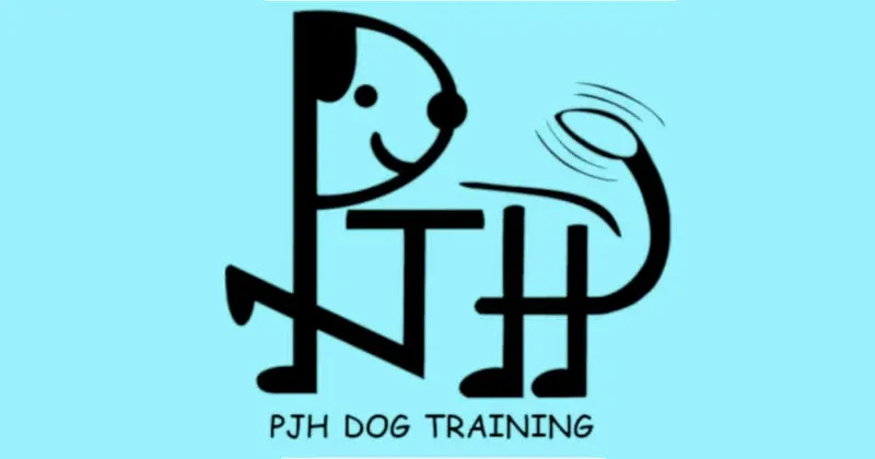 Manhattan dog training class learning basic obedience commands with positive reinforcement