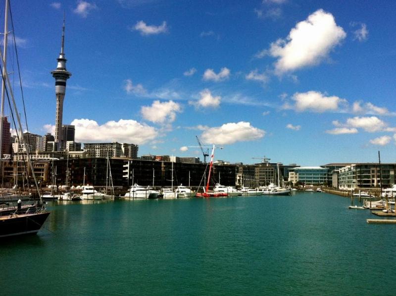 A wide shot of the grandstand and crowd at Market Rasen Racecourse on a sunny day, capturing the vibrant atmosphere of a Lincoln live horse racing event.